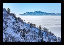 W_DSC_8989.jpg