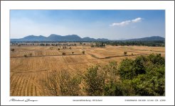 rice-fields-2.jpg