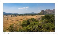 rice-fields-3.jpg