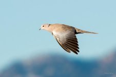 CoveStearns-102.jpg