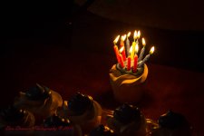 Tabbys Bday Party-0191.jpg