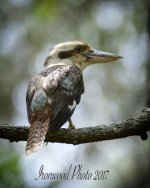 DSC_3177.jpg