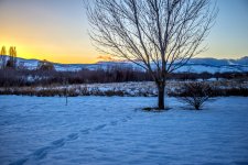 1-DSC_6929.jpg