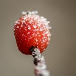 20161230-VFA_3434.jpg