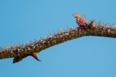 20161230-VFA_3437.jpg