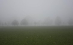 fog.jpg