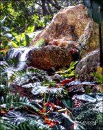 12-31-16 DFB Arboretum   16Small_2229CMA  8-28-2015.JPG