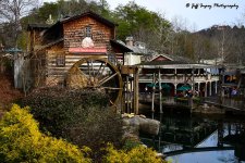 DSC_3115.jpg
