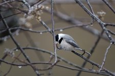 _DSC6926-Edit.jpg