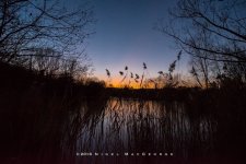 Green 80 Lake Sunset Icy 20161228-DSC_0050.jpg