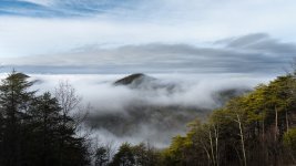 Ocoee River fog--6.jpg