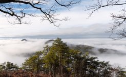 Ocoee River fog--7.jpg