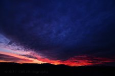1-2-17-cr_DSC_4448.jpg