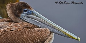 DSC_3518.jpg
