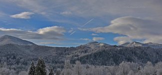 XC_IMG_8687a_tag.jpg