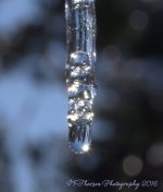 Icicles #3 12-26-2016.jpg