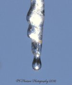 Icicles #4 12-26-2016.jpg