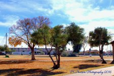 Gila Bend, Arizona 12-28-2016.jpg