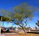 Gila Bend, Arizona  #2 12-28-2016.jpg