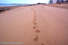 My Footprints in the Sand 12-28-2016.jpg