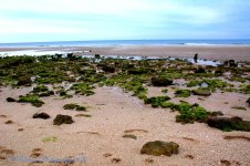 Tide Pool #2 12-28-2016.jpg