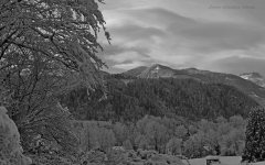 xb_IMG_8718_1_tag.jpg