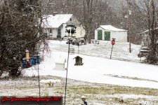 First Snow-0252.jpg