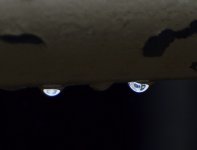 ROY_8374.JPG