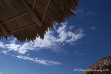 Beach #5 12-29-2016.jpg