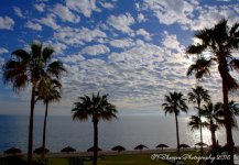 Beach #2 12-30-2016.jpg