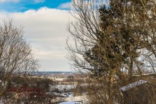 mid afternoon-0272.jpg