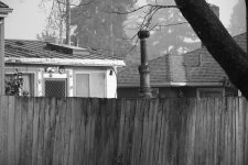 Foggy morning.jpg