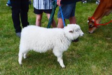 DSC_4978.jpg