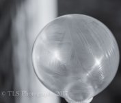 TBS_6800-2.jpg