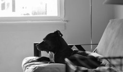 DSC_0035.jpg