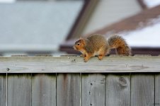 DSC_0129.jpg
