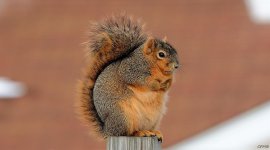 DSC_0124_01.jpg