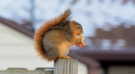 DSC_0134_01.jpg