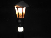 DSCN1592.jpg