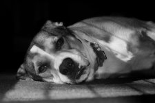 Guiddry2BW4943.jpg