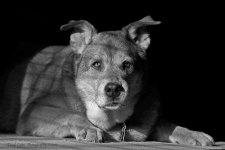 Payton B&W_4948.jpg