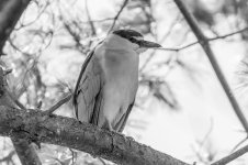 DSC_5489-1.jpg