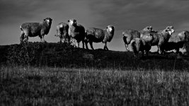 DSC_2774.jpg