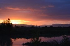 DSC_5690.jpg