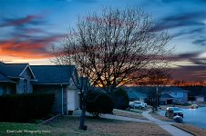 1036517_4962-1.jpg