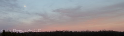 TBS_6849-3.jpg