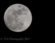 TSA_2851-2.jpg