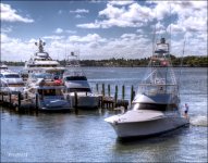 1-11-2016 Palm Beach     14Small_2277CMA  1-11-17.JPG