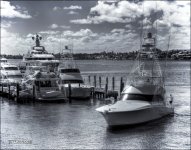1-11-2016 Palm Beach     14BWSmall_2290CMA  1-11-17.JPG