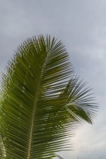 20170113-DSC_0211.jpg